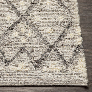 Surya Bremen BEN-2305 Area Rug