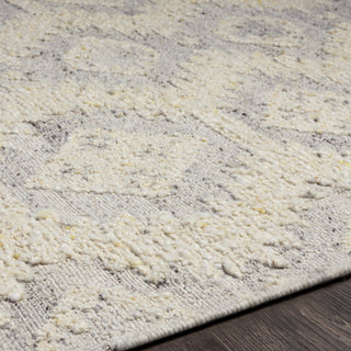 Surya Bremen BEN-2306 Area Rug