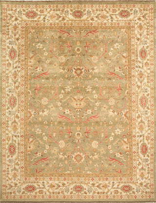 Momeni Bergamo BG-11 Sage Area Rug main image