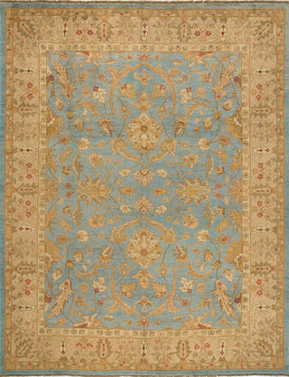 Momeni Bergamo BG-12 Aqua Blue Area Rug main image