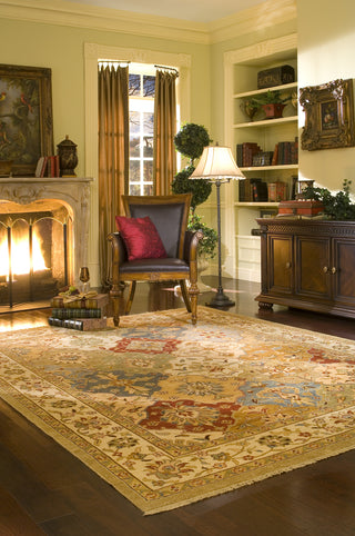 Momeni Bergamo BG-07 Multi Area Rug Roomshot Feature