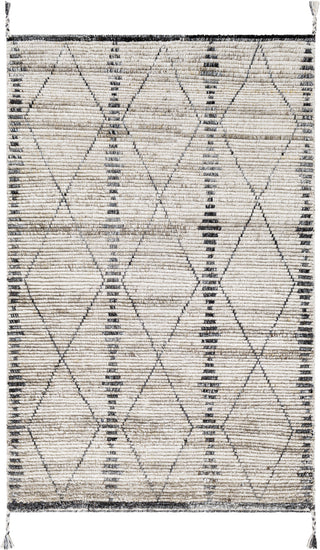 Surya Birch BHC-2302 Area Rug main image