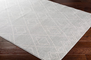 Surya Bahar BHR-2303 Area Rug Corner Shot