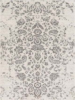 Surya Bahar BHR-2306 Taupe Beige Charcoal Area Rug Mirror main image