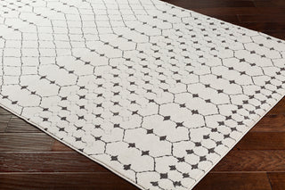Surya Bahar BHR-2312 Area Rug Corner Shot