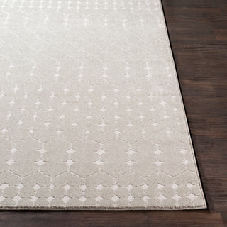 Surya Bahar BHR-2313 Area Rug 