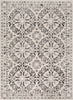 Surya Bahar BHR-2318 Medium Gray Charcoal Beige Taupe Area Rug Mirror main image