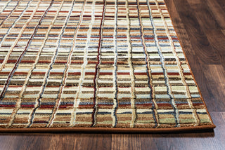 Rizzy Bennington BI4633 Area Rug  Feature