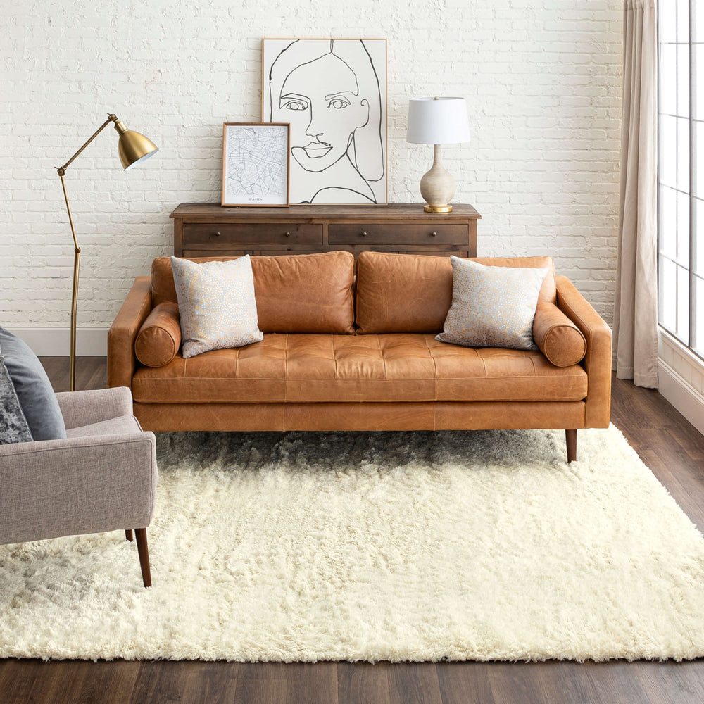 Karastan Billow Shag Ivory Area Rug Lifestyle Image Feature