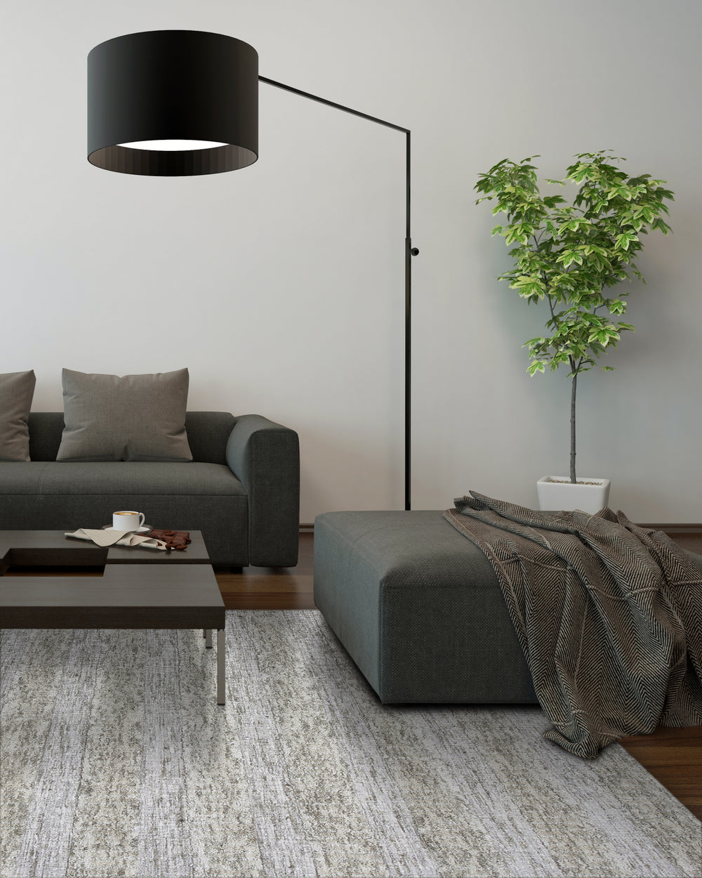 KAS Birch 9251 Ivory Heather Area Rug Main Image Feature