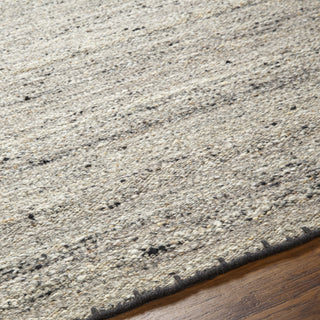 Surya Berkeley BKY-2302 Area Rug Detail