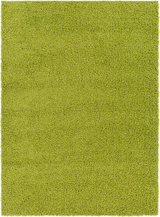 Surya Bliss Shag BLI-2301 Area Rug main image