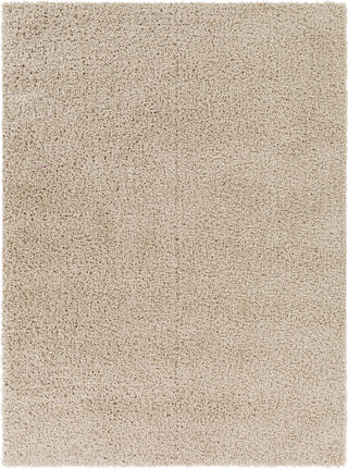 Surya Bliss Shag BLI-2303 Area Rug main image