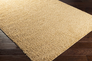 Surya Bliss Shag BLI-2304 Area Rug Corner Shot