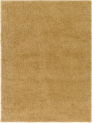 Surya Bliss Shag BLI-2304 Area Rug main image