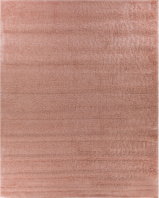 Surya Bliss Shag BLI-2309 Area Rug 