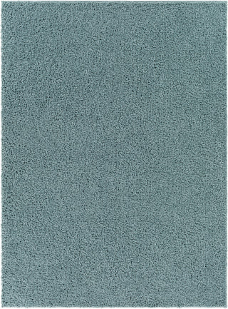 Surya Bliss Shag BLI-2310 Area Rug main image