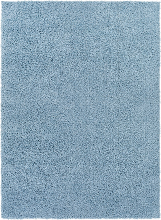 Surya Bliss Shag BLI-2313 Area Rug main image