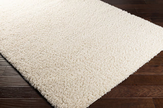 Surya Bliss Shag BLI-2315 Area Rug Corner Shot