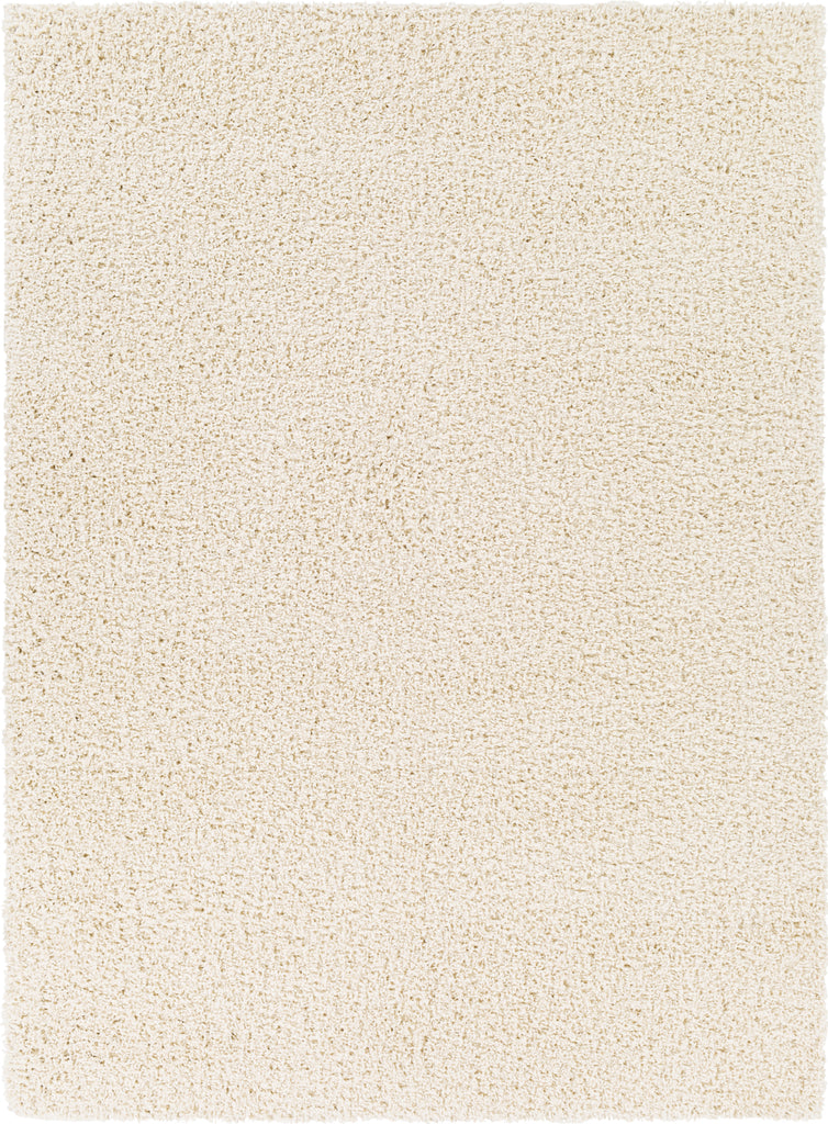 Surya Bliss Shag BLI-2315 Area Rug main image