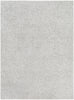 Surya Bliss Shag BLI-2316 Area Rug main image