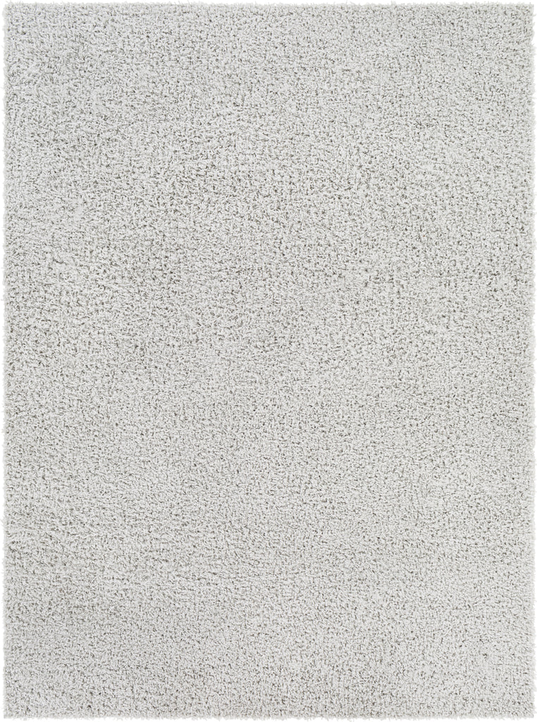 Surya Bliss Shag BLI-2316 Area Rug main image