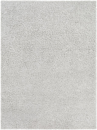 Surya Bliss Shag BLI-2316 Area Rug main image