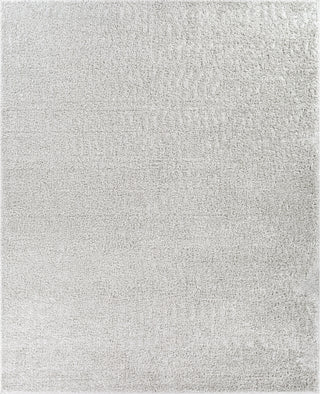 Surya Bliss Shag BLI-2316 Area Rug 