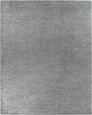 Surya Bliss Shag BLI-2317 Area Rug 