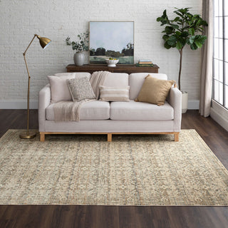 Karastan Divina Bliss Grey Area Rug Lifestyle Image