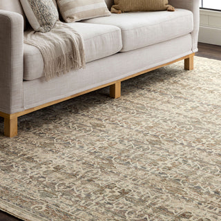 Karastan Divina Bliss Grey Area Rug Lifestyle Image Feature