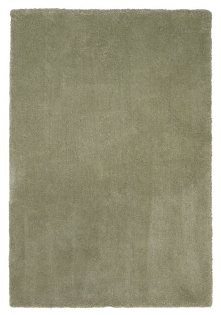 KAS Bliss 1568 Sage Shag Area Rug main image