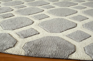 Momeni Bliss BS-11 Grey Area Rug Closeup