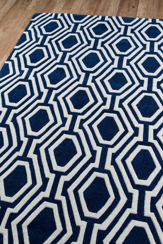 Momeni Bliss BS-21 Navy Area Rug Corner Shot Feature