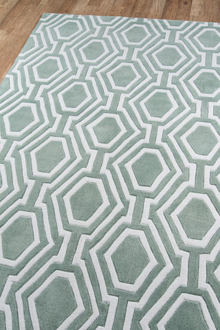 Momeni Bliss BS-21 Sage Area Rug Corner Shot