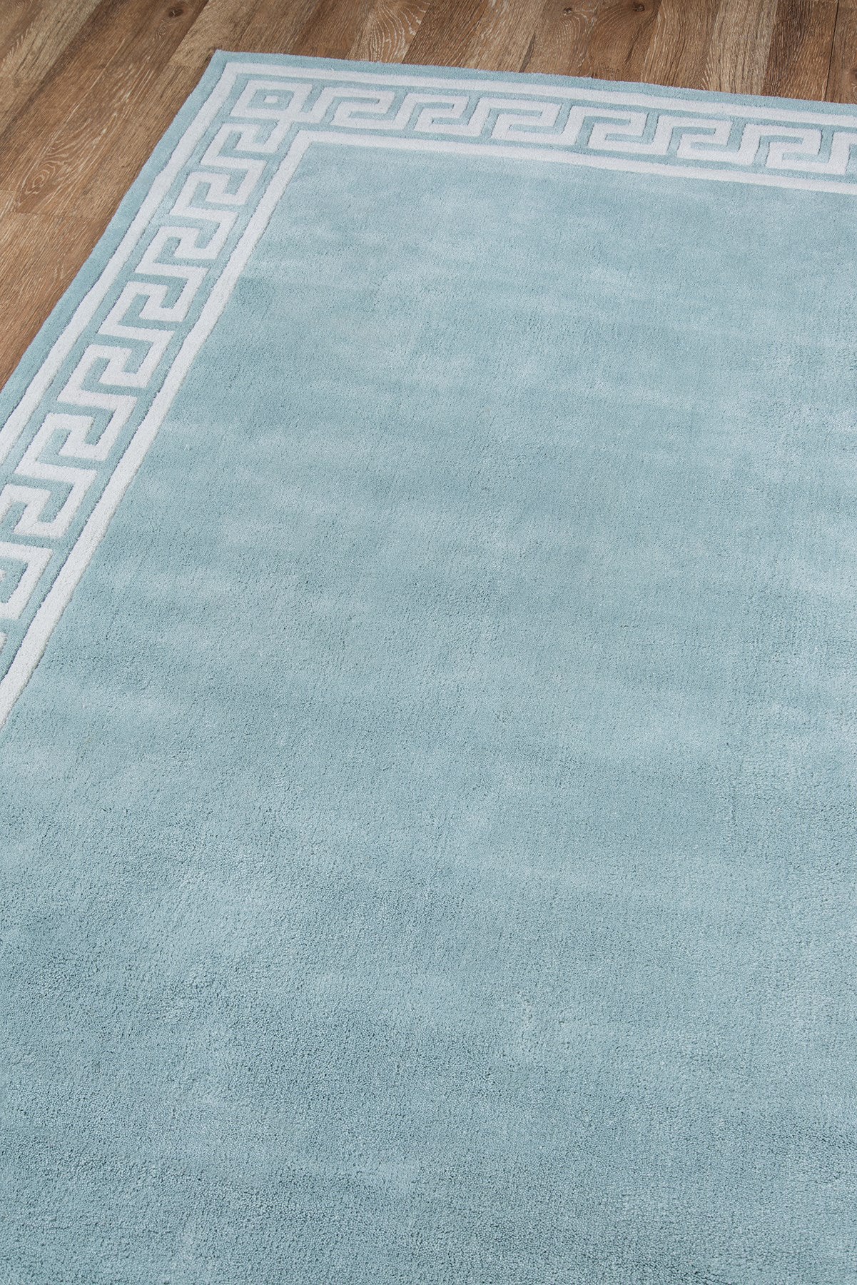 Momeni Bliss BS-23 Mint Area Rug – Incredible Rugs and Decor