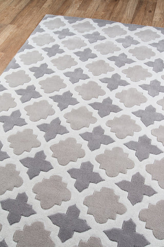 Momeni Bliss BS-26 Grey Area Rug Corner Shot Feature