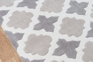 Momeni Bliss BS-26 Grey Area Rug Closeup