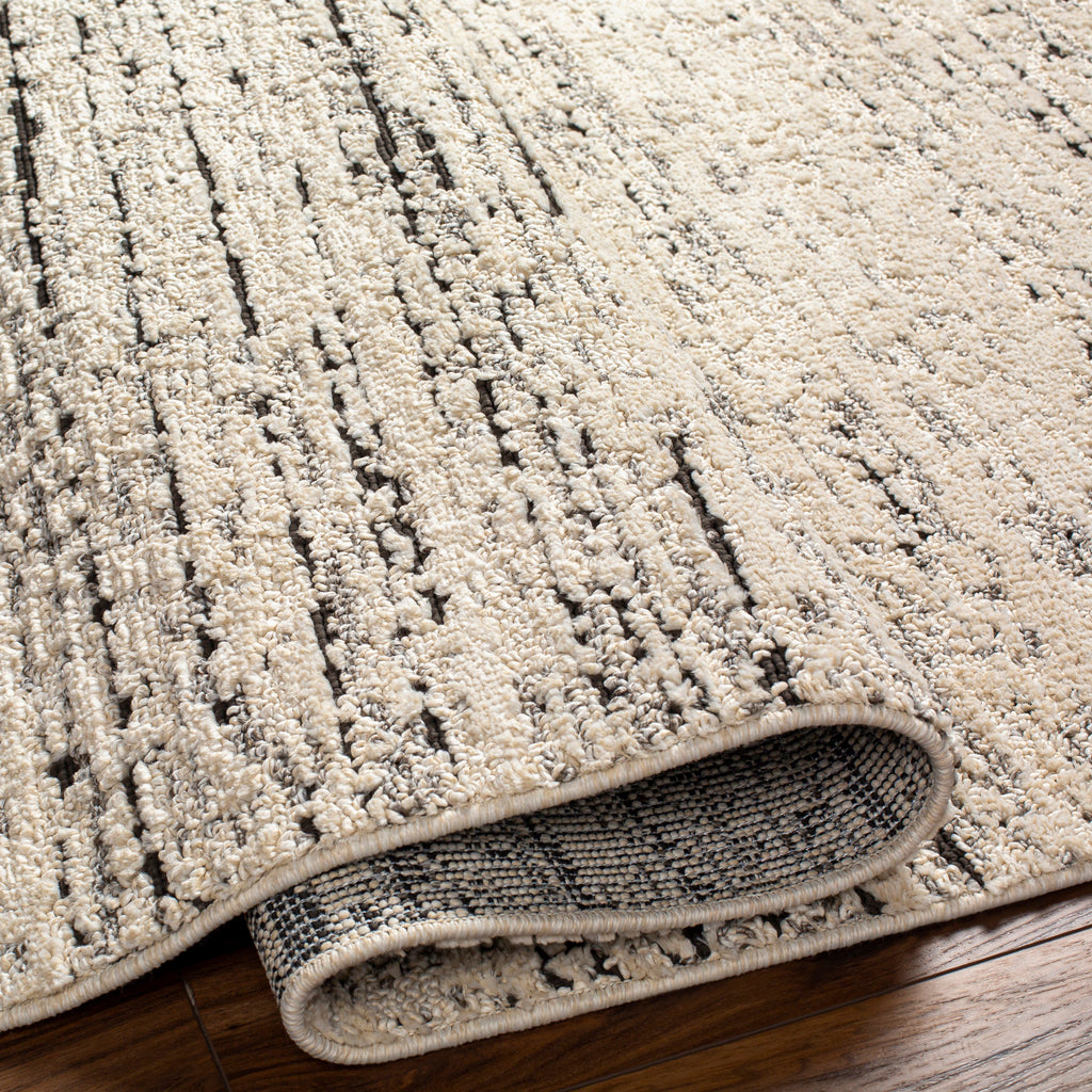 Livabliss Berlin BLR-2301 Area Rug – Incredible Rugs and Decor