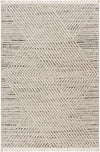 Surya Berlin BLR-2302 Area Rug main image