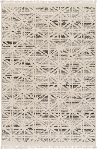 Surya Berlin BLR-2304 Area Rug main image