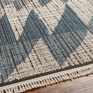 Surya Berlin BLR-2305 Area Rug Detail