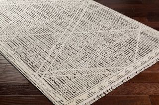 Surya Berlin BLR-2306 Area Rug Corner Shot