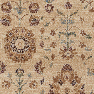 Rizzy Bellevue BV3412 tan/khaki Area Rug Runner Image