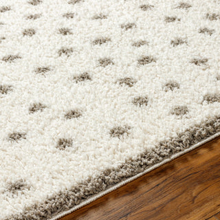 Surya Birmingham BMM-2302 Area Rug Detail