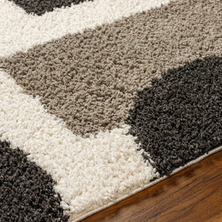 Surya Birmingham BMM-2316 Area Rug Detail