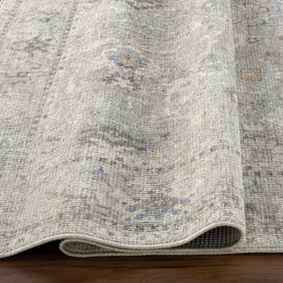 Surya Davina BOCC-2300 Area Rug by Becki Owens Pile