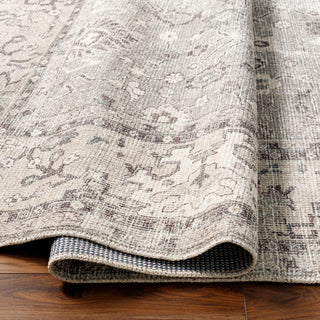 Surya Davina BOCC-2301 Area Rug by Becki Owens Pile