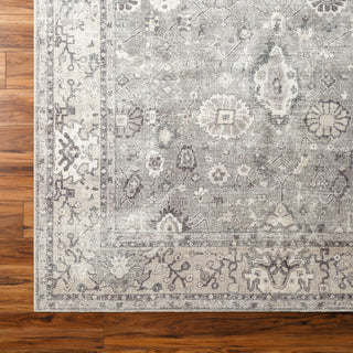 Surya Davina BOCC-2301 Area Rug by Becki Owens 