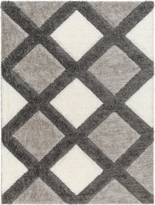 Surya Bologna BOG-2300 Area Rug main image